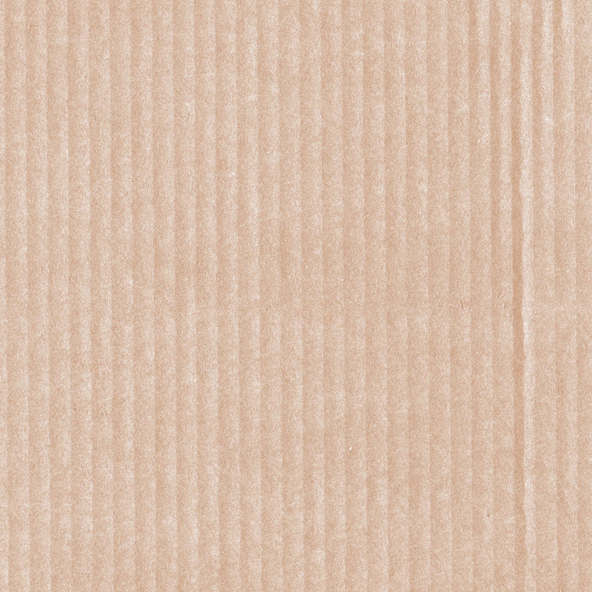 Blank cardboard background