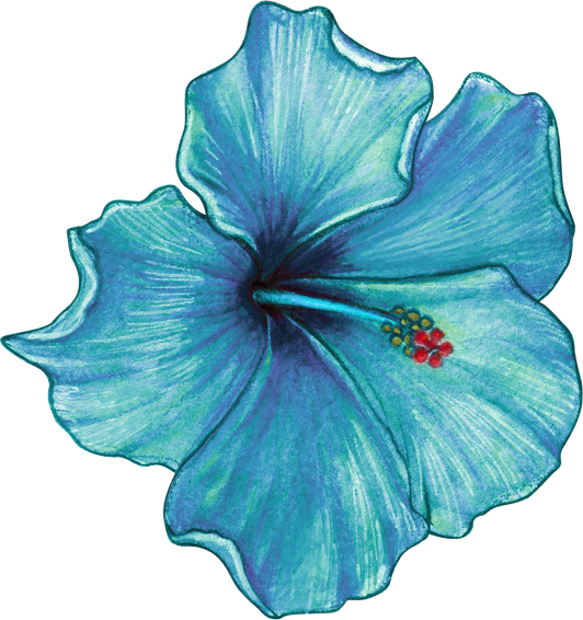 Blue Hibiscus Flower